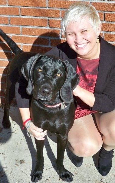 Labrador Retriever Puppies