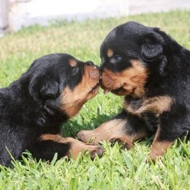 Jasmine and Billy