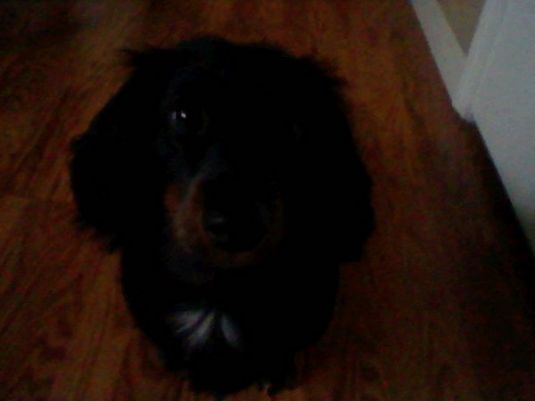 Sweetheart Riley Sweetheart Riley