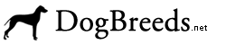 Dog Breeds